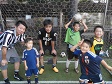 【第5位 バナナマン】<BR><BR>残念ながら最下位に。1勝したかったね Highslide JS