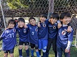 【第8位 アミィティエ】<BR><BR>残念ながら最下位に。2025年はここから這い上がっていこうね Highslide JS